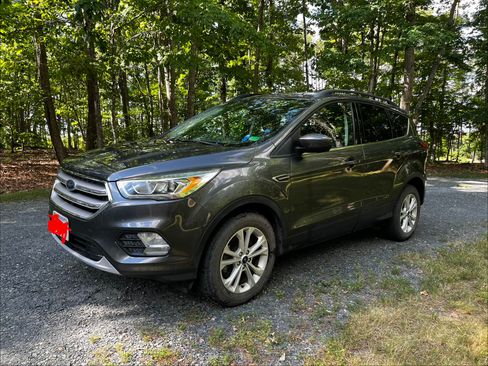 Used 2019 Ford Escape SEL AWD/4WD image 1