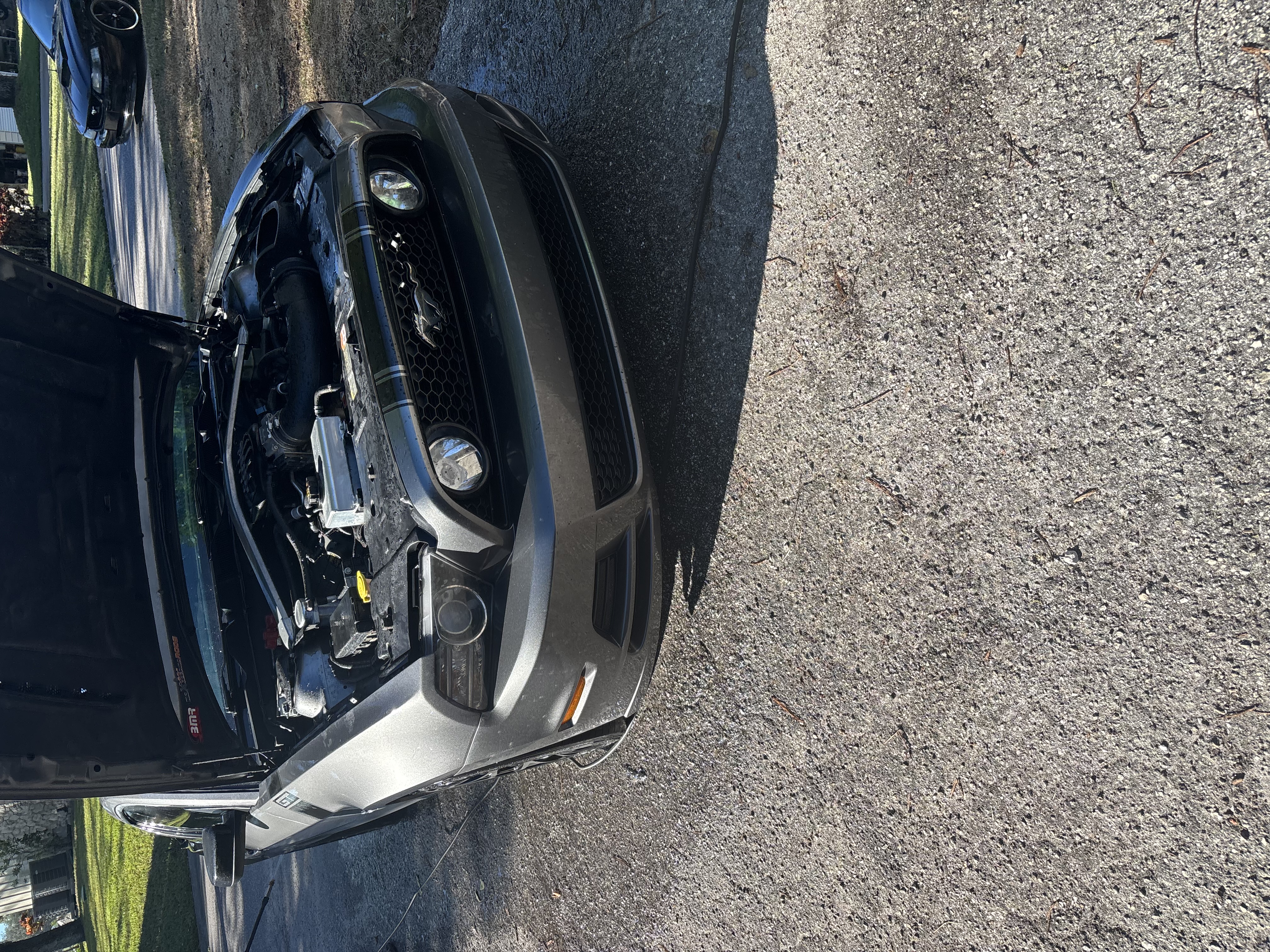 Used 2014 Ford Mustang GT w/ Equipment Group 301A RWD image 8