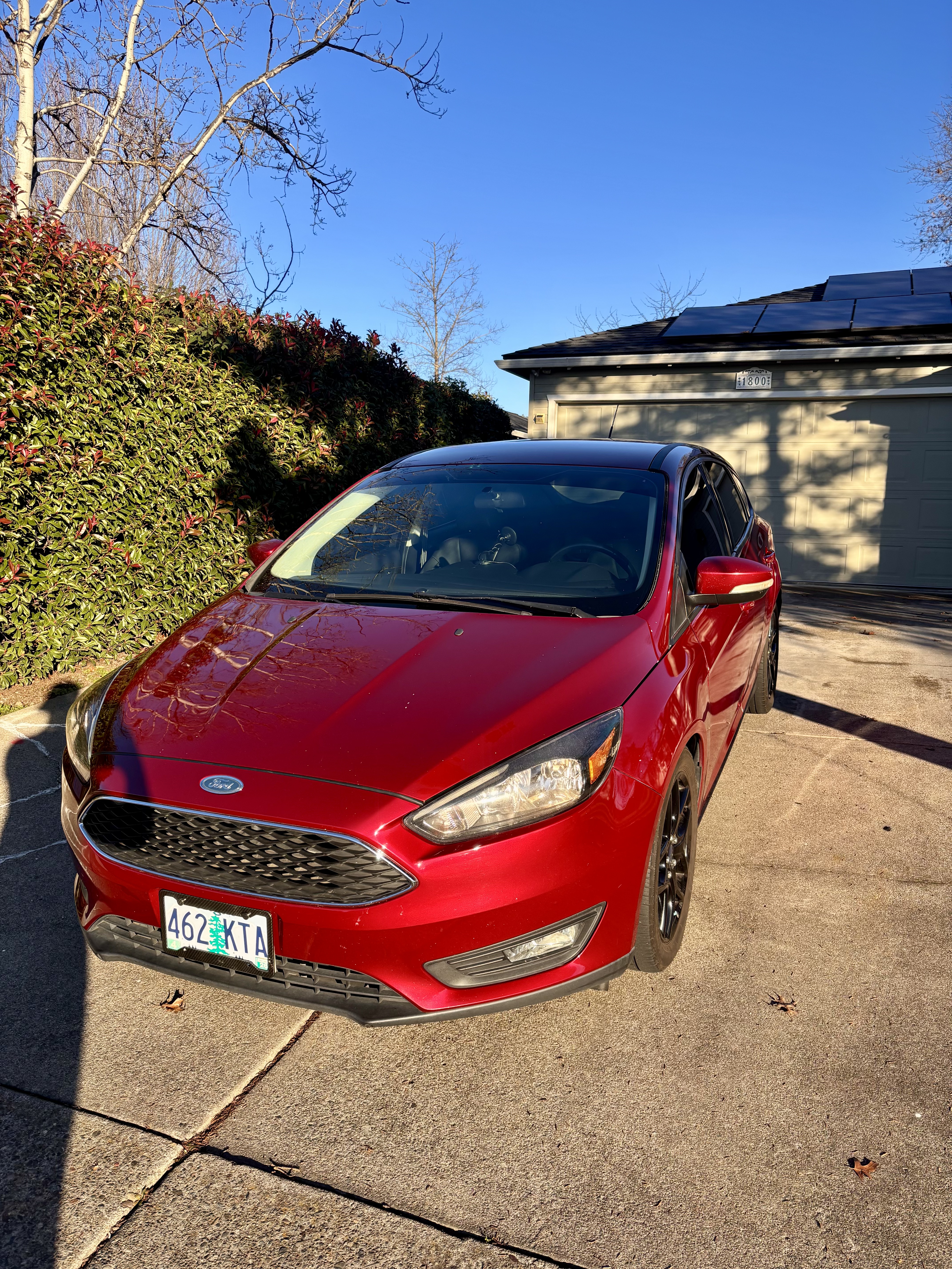 Used 2016 Ford Focus SE FWD image 1