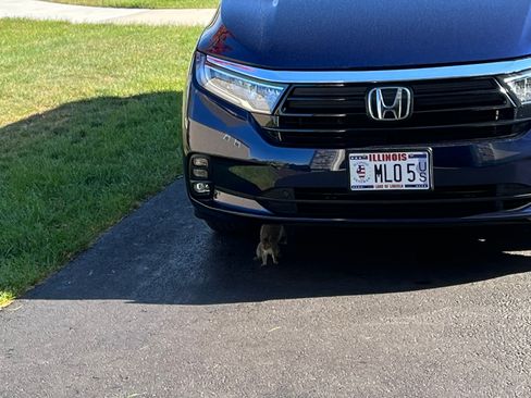 Used 2021 Honda Odyssey EX-L image 2