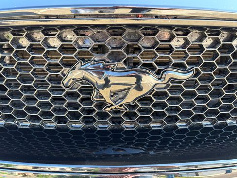 Used 2021 Ford Mustang GT Premium w/ Equipment Group 401A RWD image 15