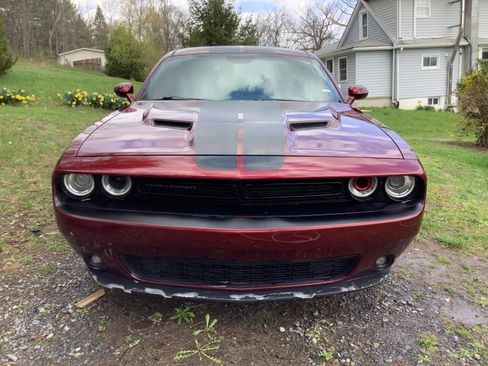 Used 2017 Dodge Challenger SXT w/ Blacktop Package image 1
