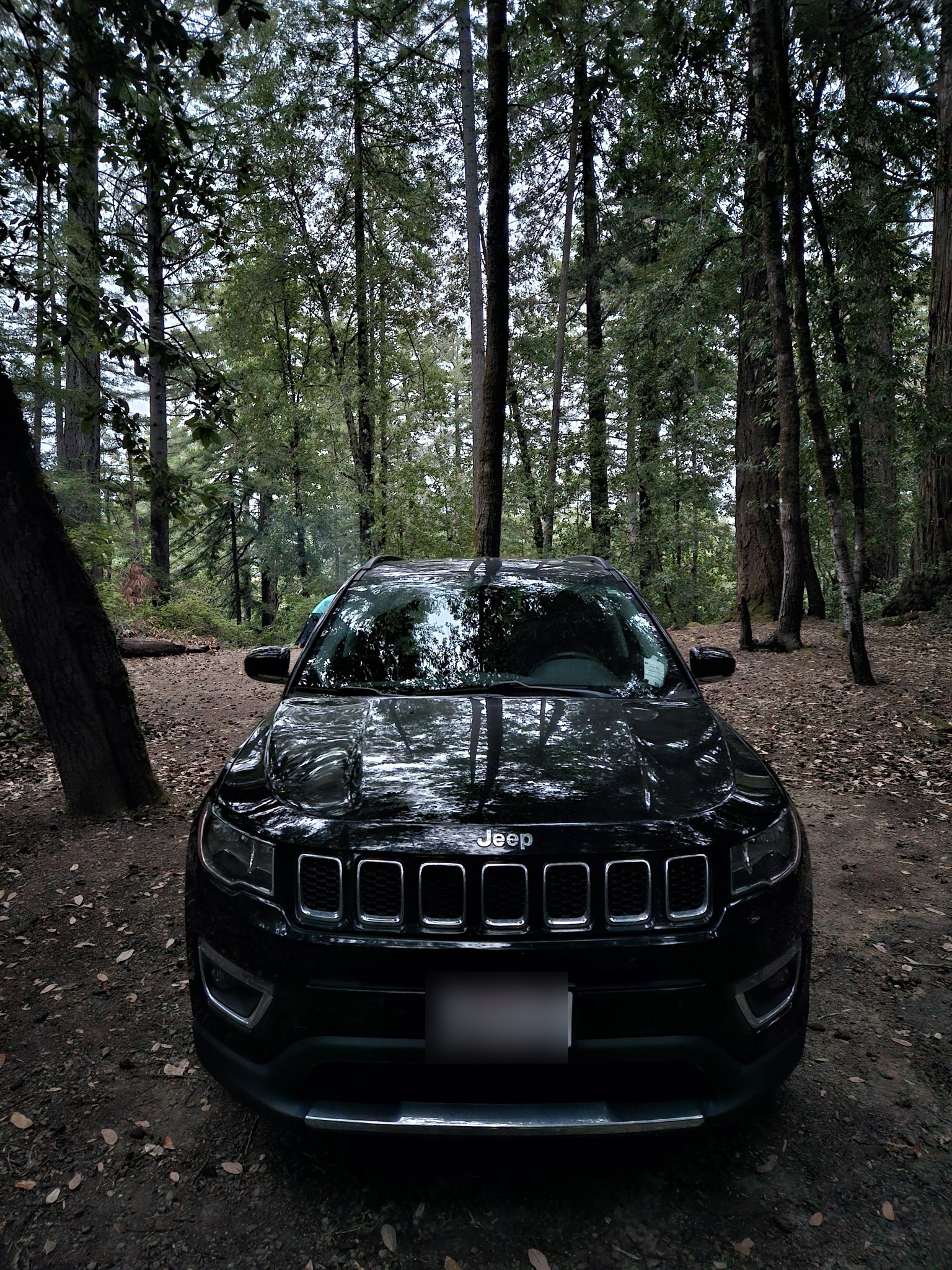 Used 2018 Jeep Compass Limited w/ Safe & Security Group AWD/4WD image 2