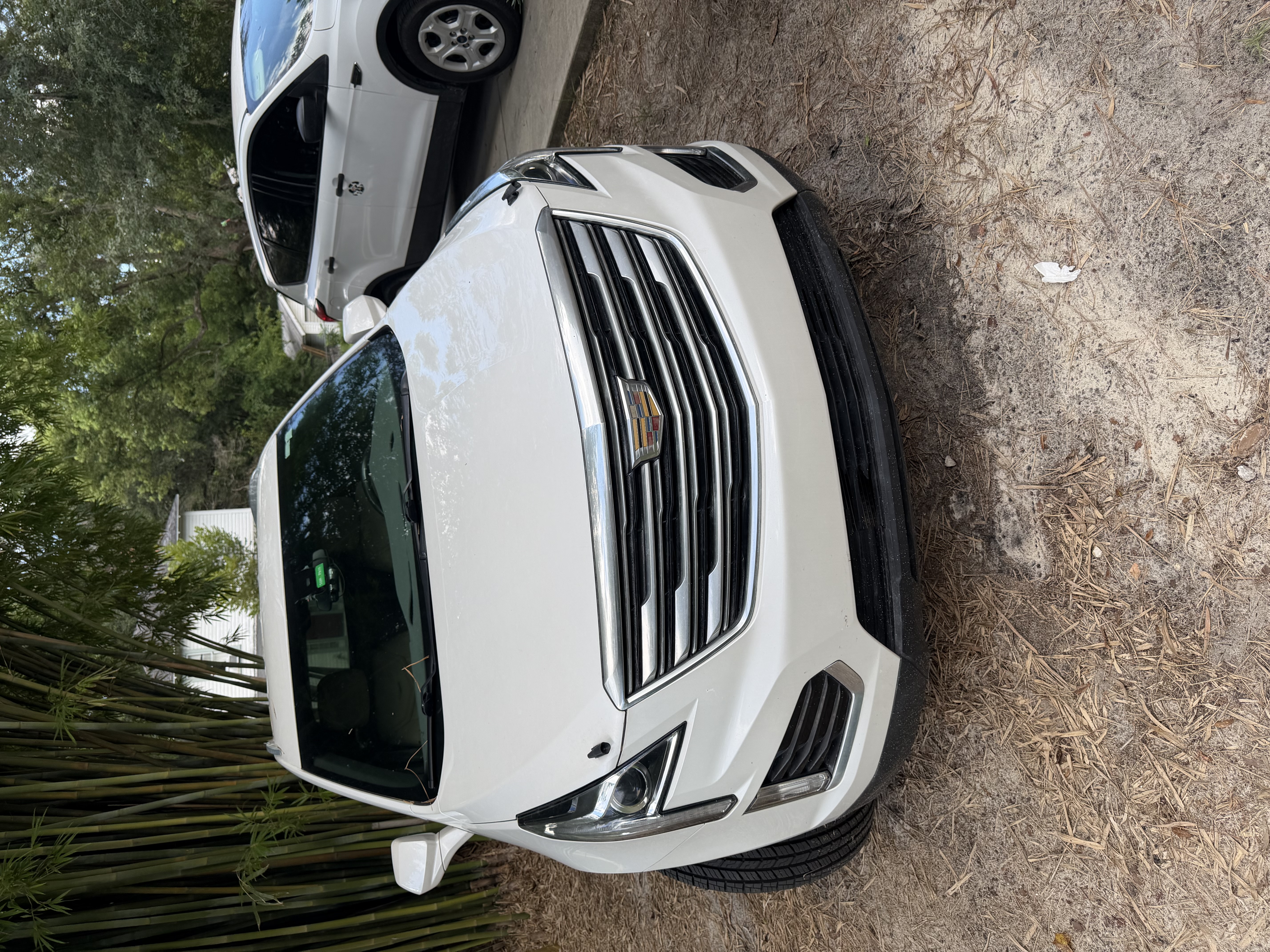 Used 2019 Cadillac XT5 FWD image 1