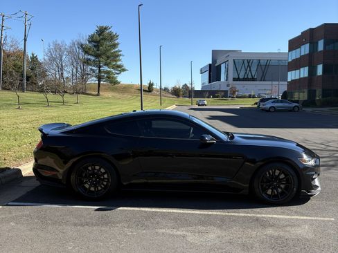 Used 2018 Ford Mustang Shelby GT350 w/ Convenience Package image 4