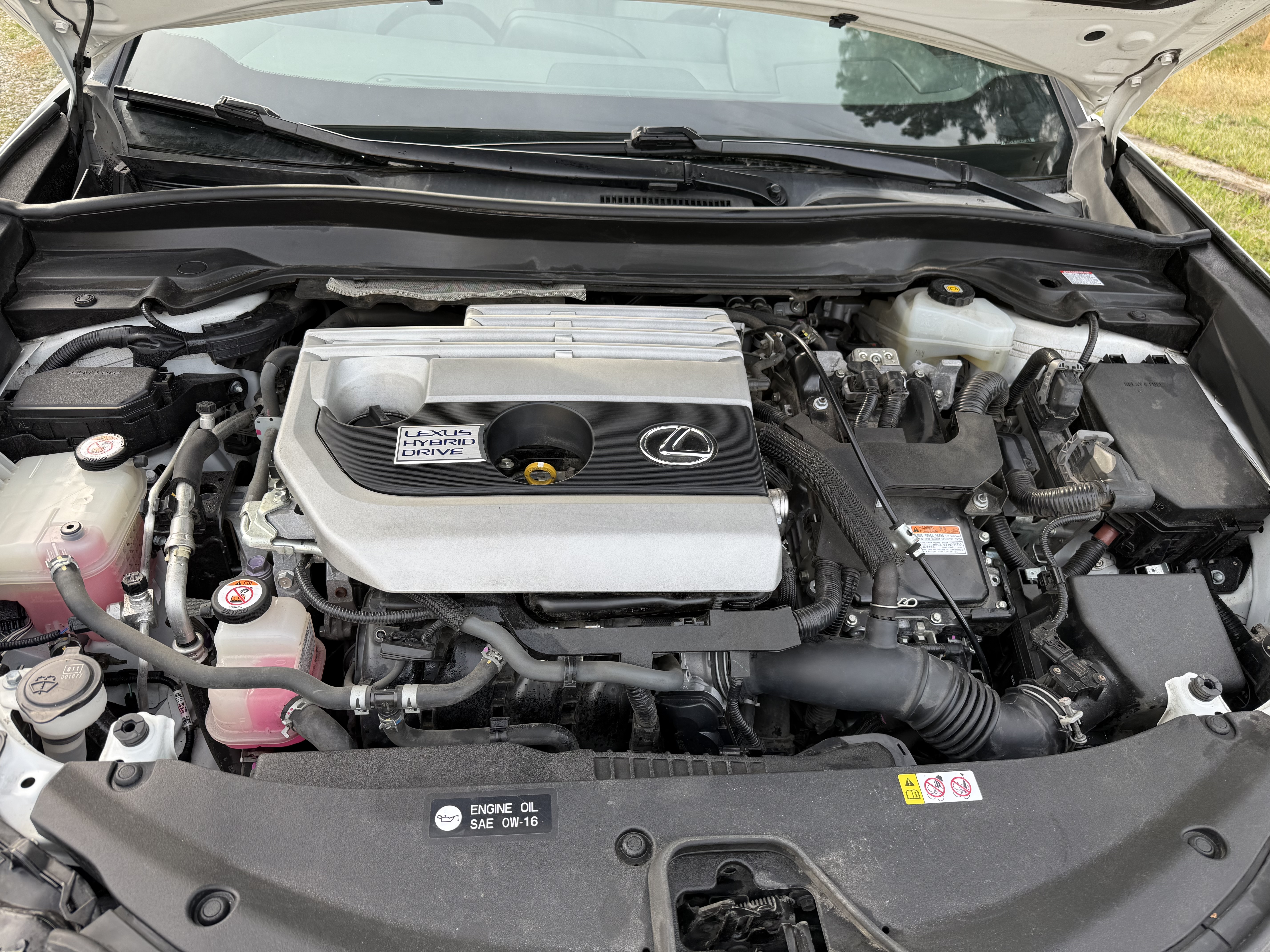 Used 2019 Lexus UX 250h w/ Premium Package AWD/4WD image 19