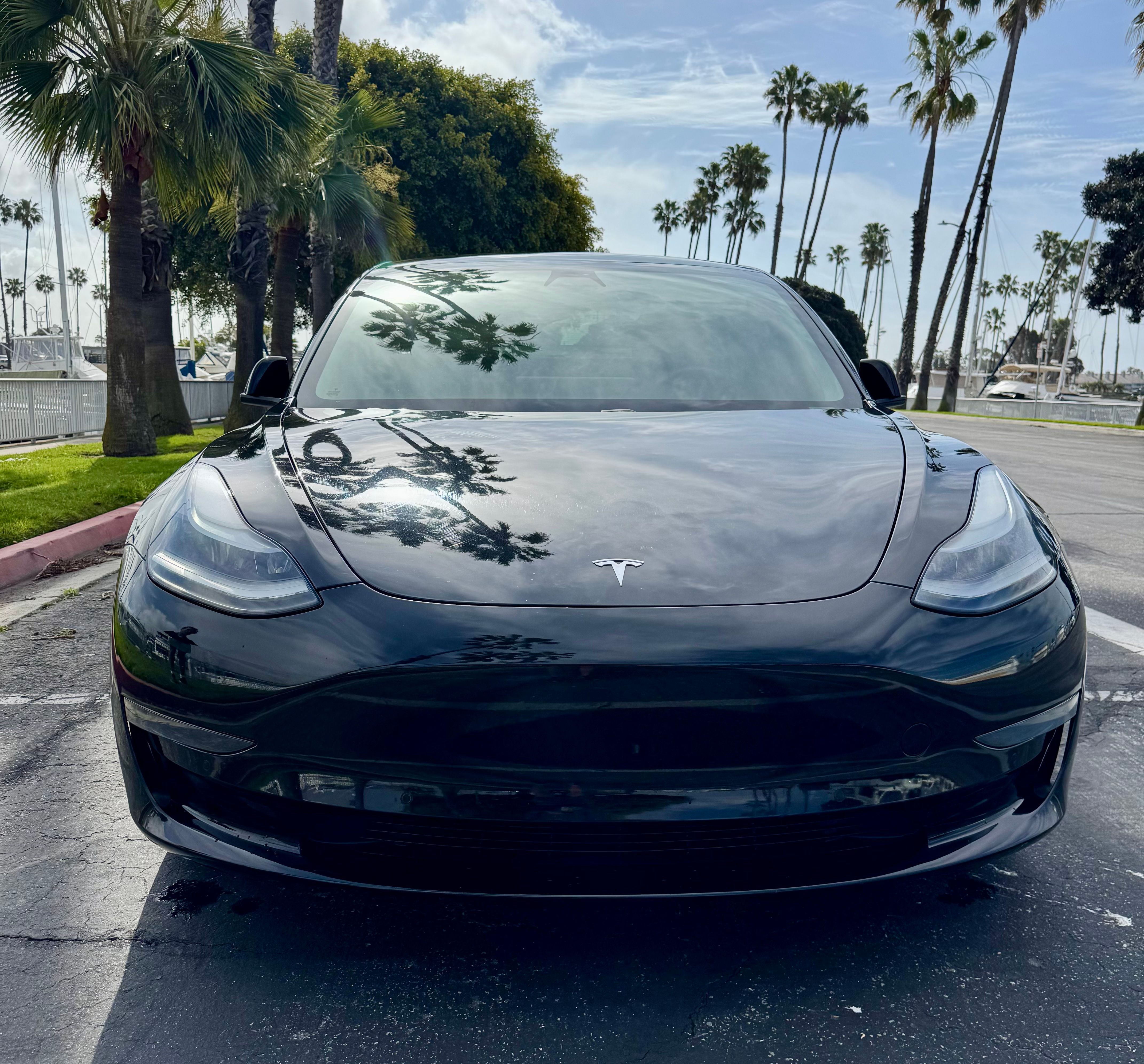 Used 2021 Tesla Model 3 Standard Range Plus RWD image 11