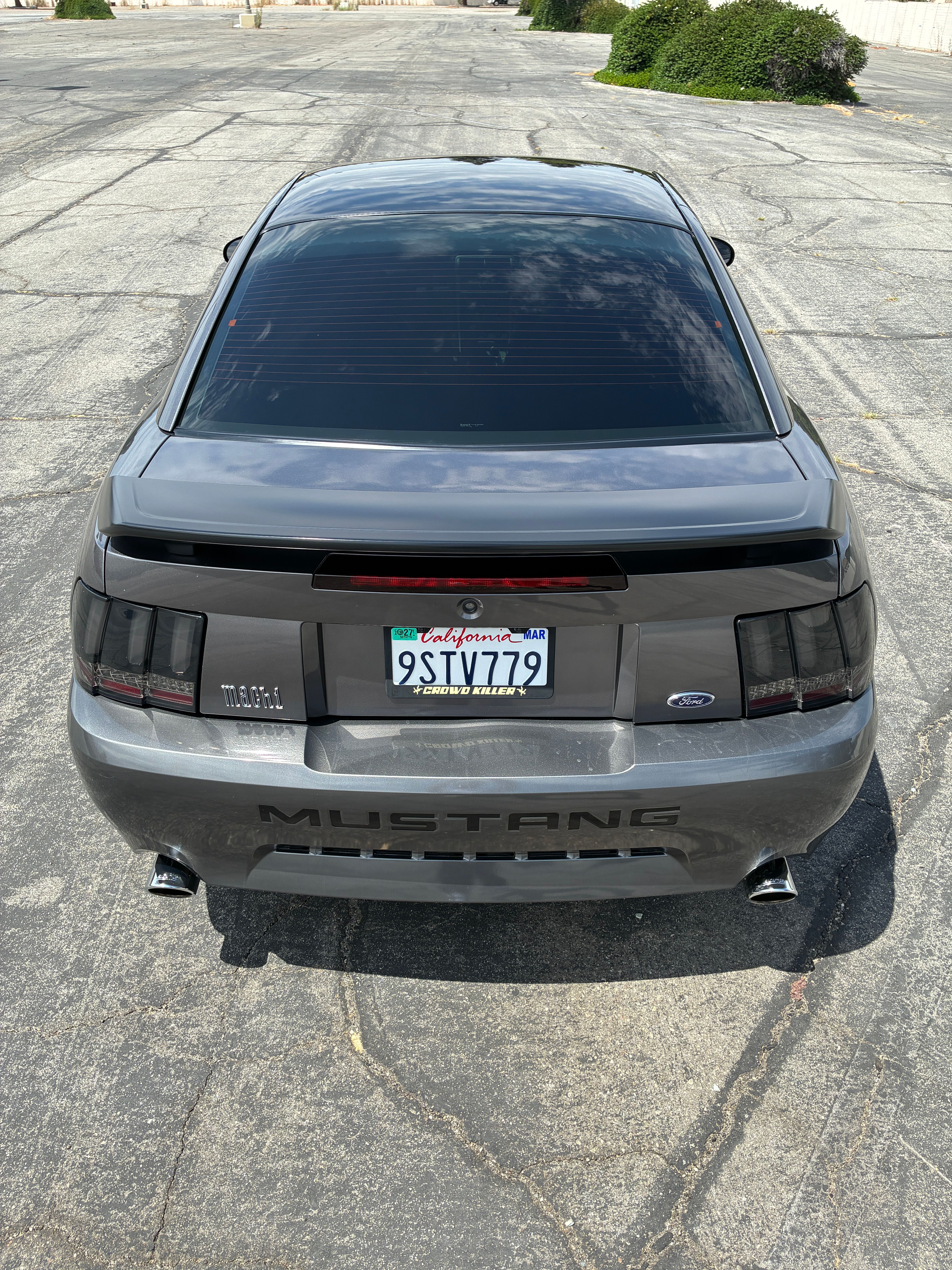 Used 2004 Ford Mustang Mach 1 RWD image 10