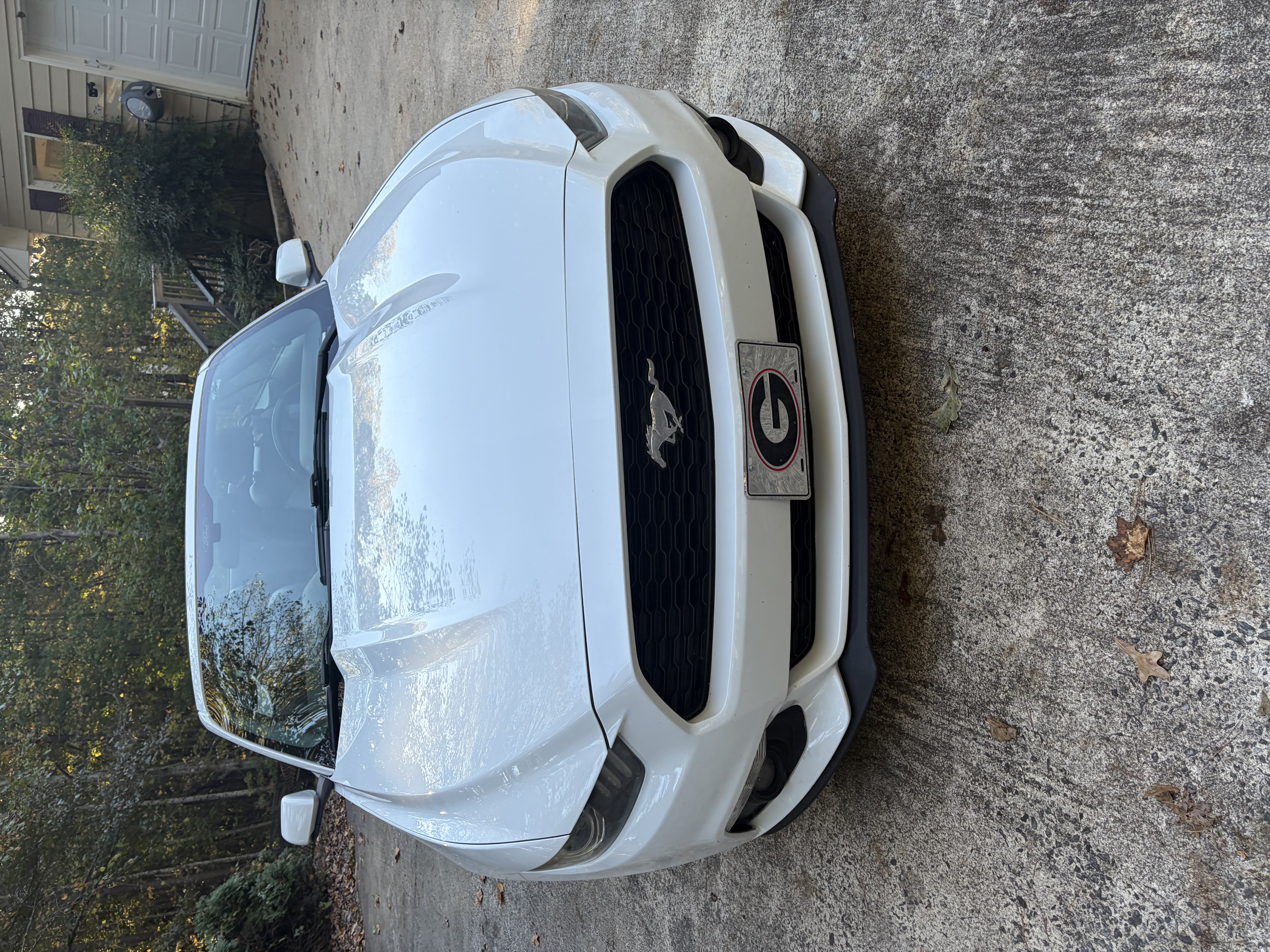 Used 2015 Ford Mustang Premium RWD image 6