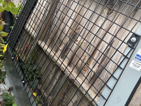 Used 2011 Ford Transit Connect XLT image 15