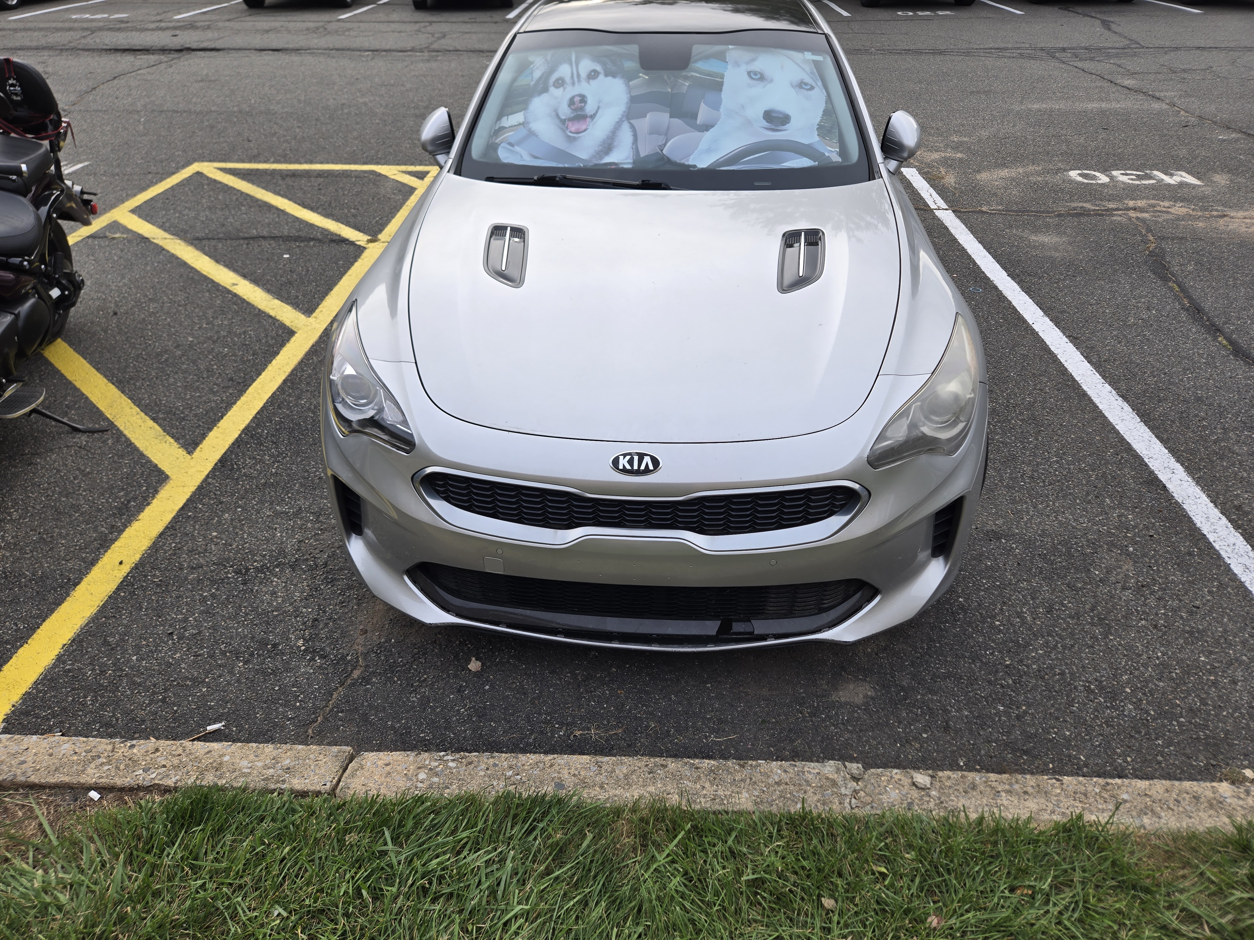 Used 2018 Kia Stinger AWD/4WD image 5