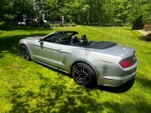 Used 2018 Ford Mustang Premium w/ Equipment Group 201A RWD image 4