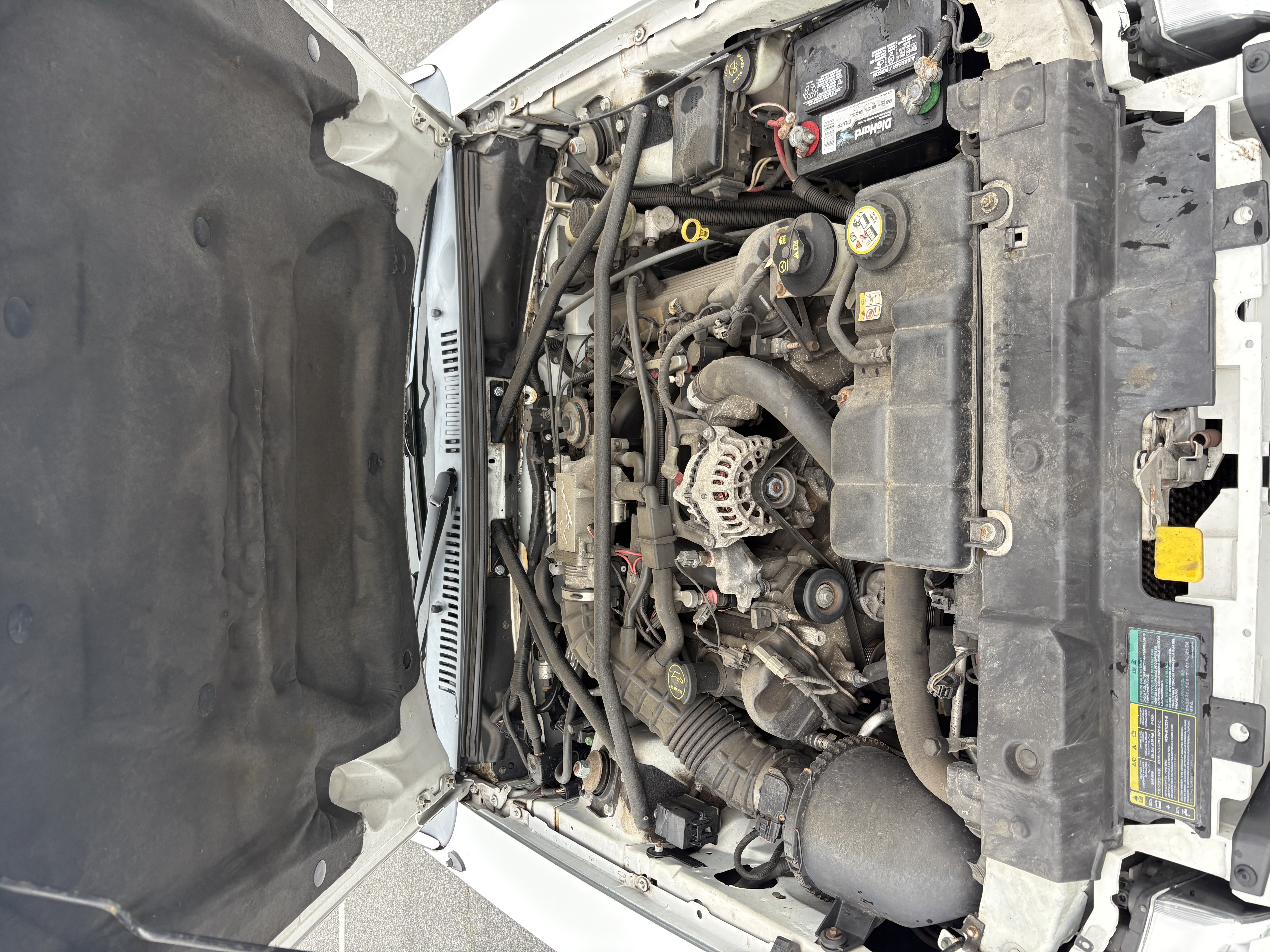 Used 2004 Ford Mustang GT Premium RWD image 16