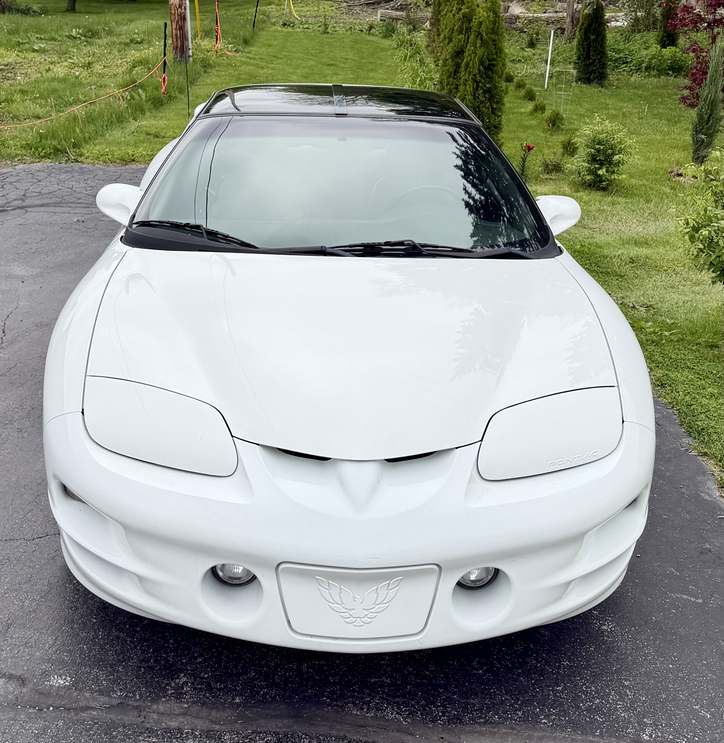 Used 2000 Pontiac Firebird Formula w/ Security Pkg RWD image 10