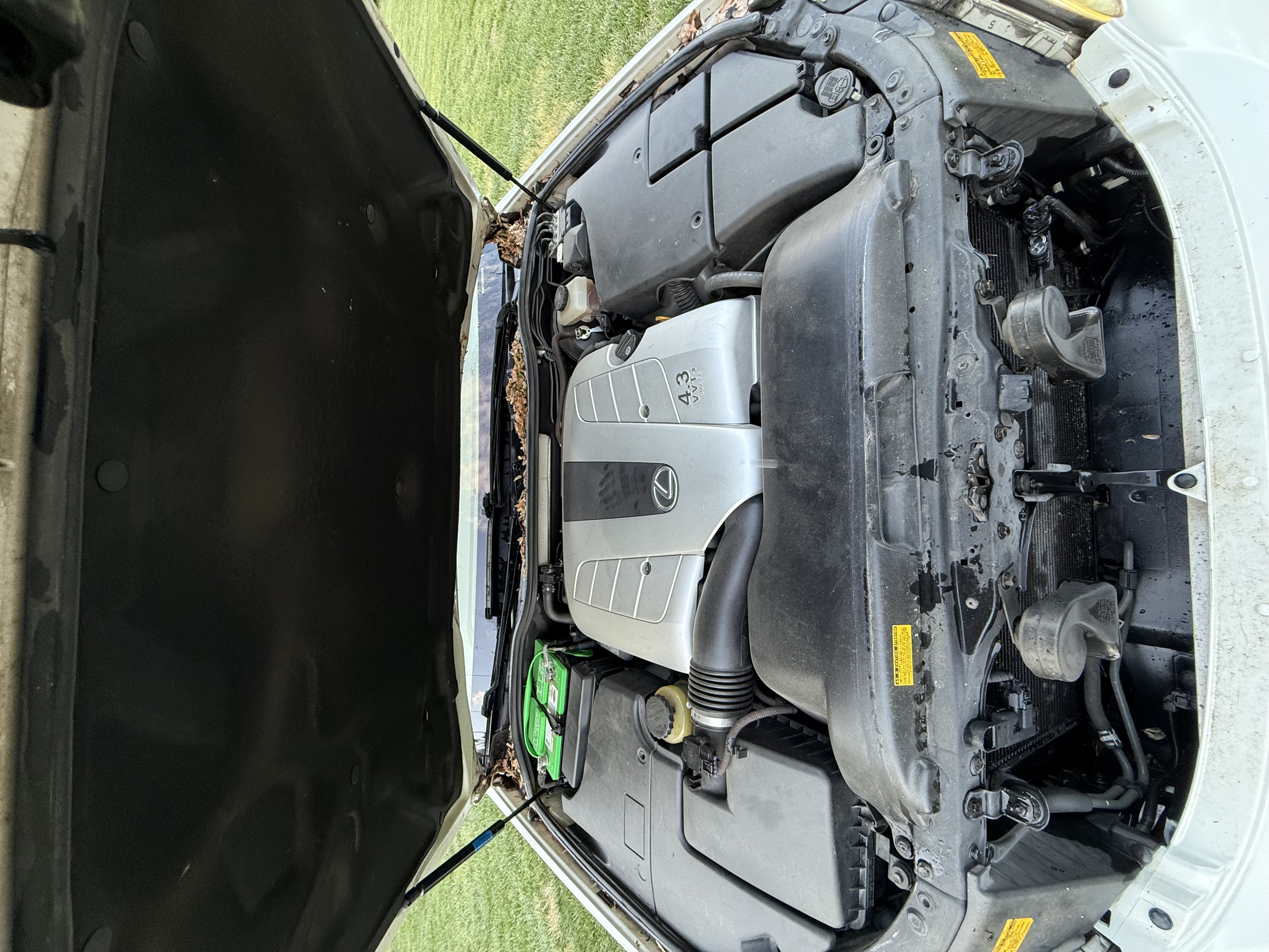Used 2004 Lexus LS 430 RWD image 14