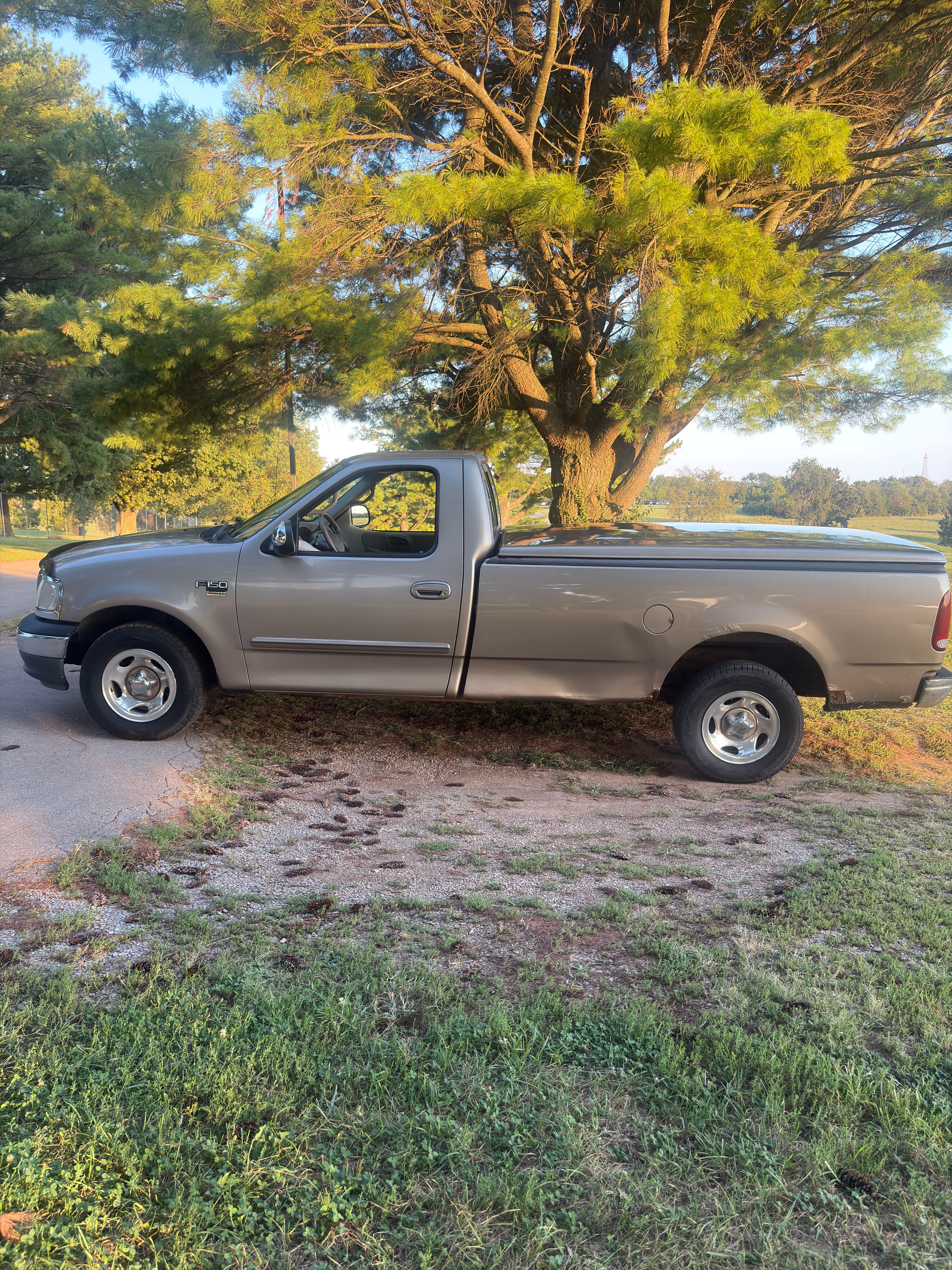 Used 2001 Ford F150 2WD Regular Cab image 1