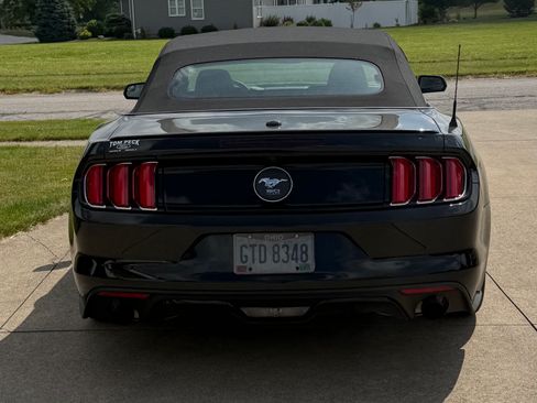 Used 2015 Ford Mustang Premium w/ 50 Years Appearance Package RWD image 4