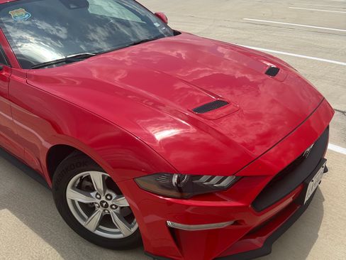 Used 2022 Ford Mustang Coupe RWD image 2