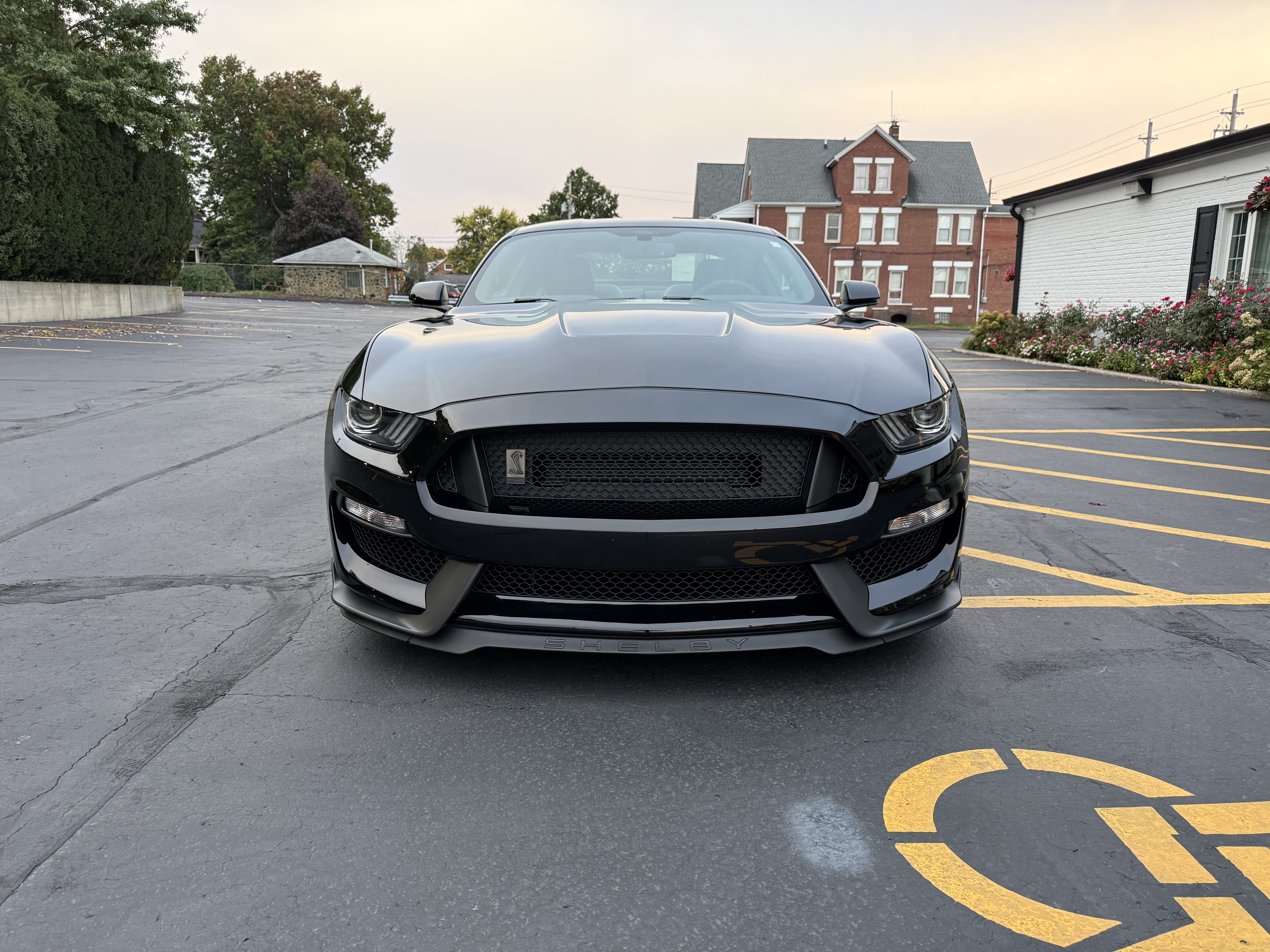 Used 2020 Ford Mustang Shelby GT350 w/ Technology Package RWD image 2