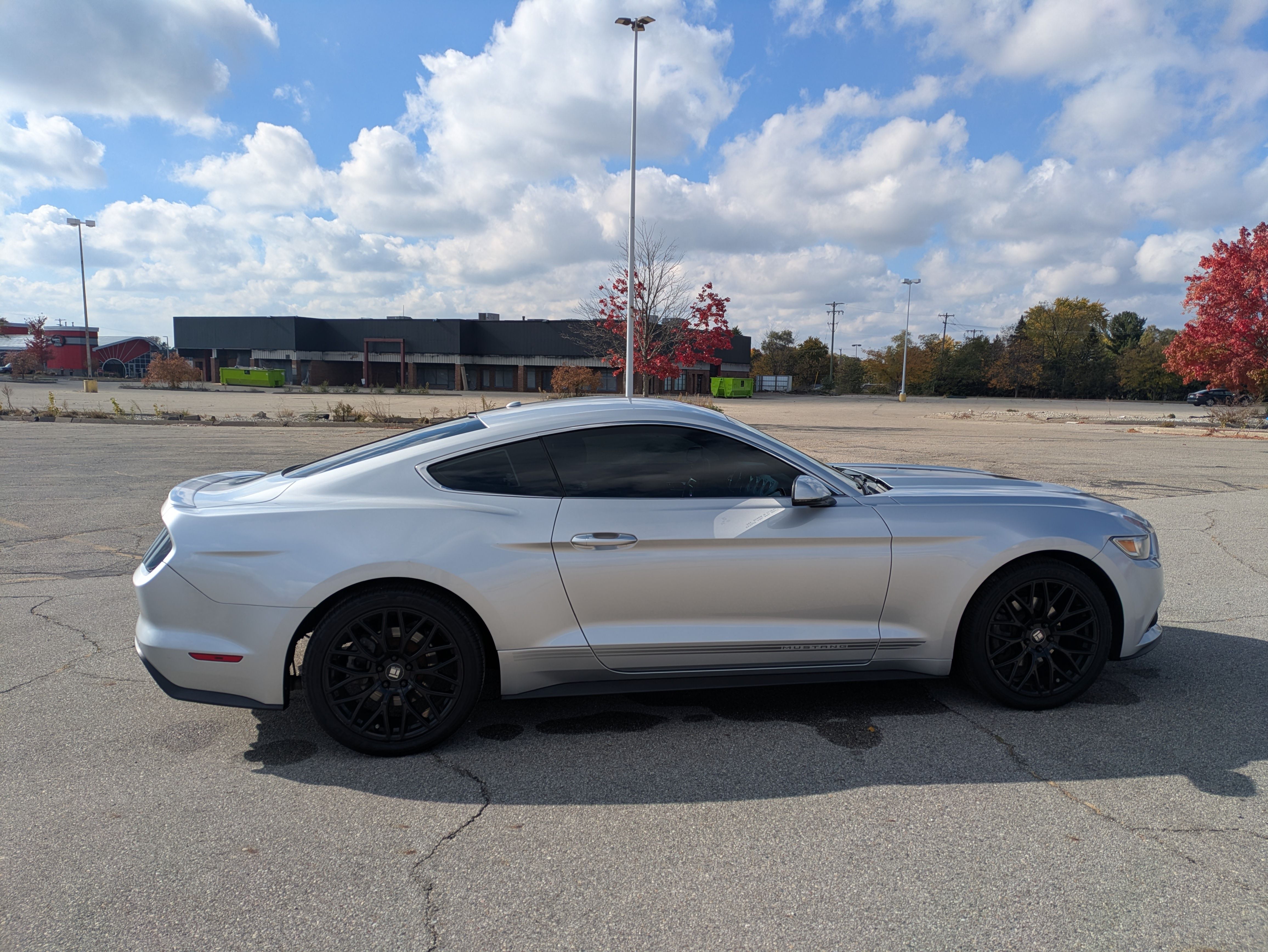 Used 2016 Ford Mustang Premium w/ Equipment Group 201A RWD image 8