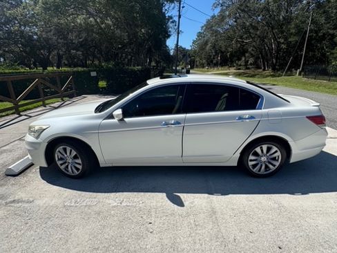 Used 2011 Honda Accord EX-L image 4
