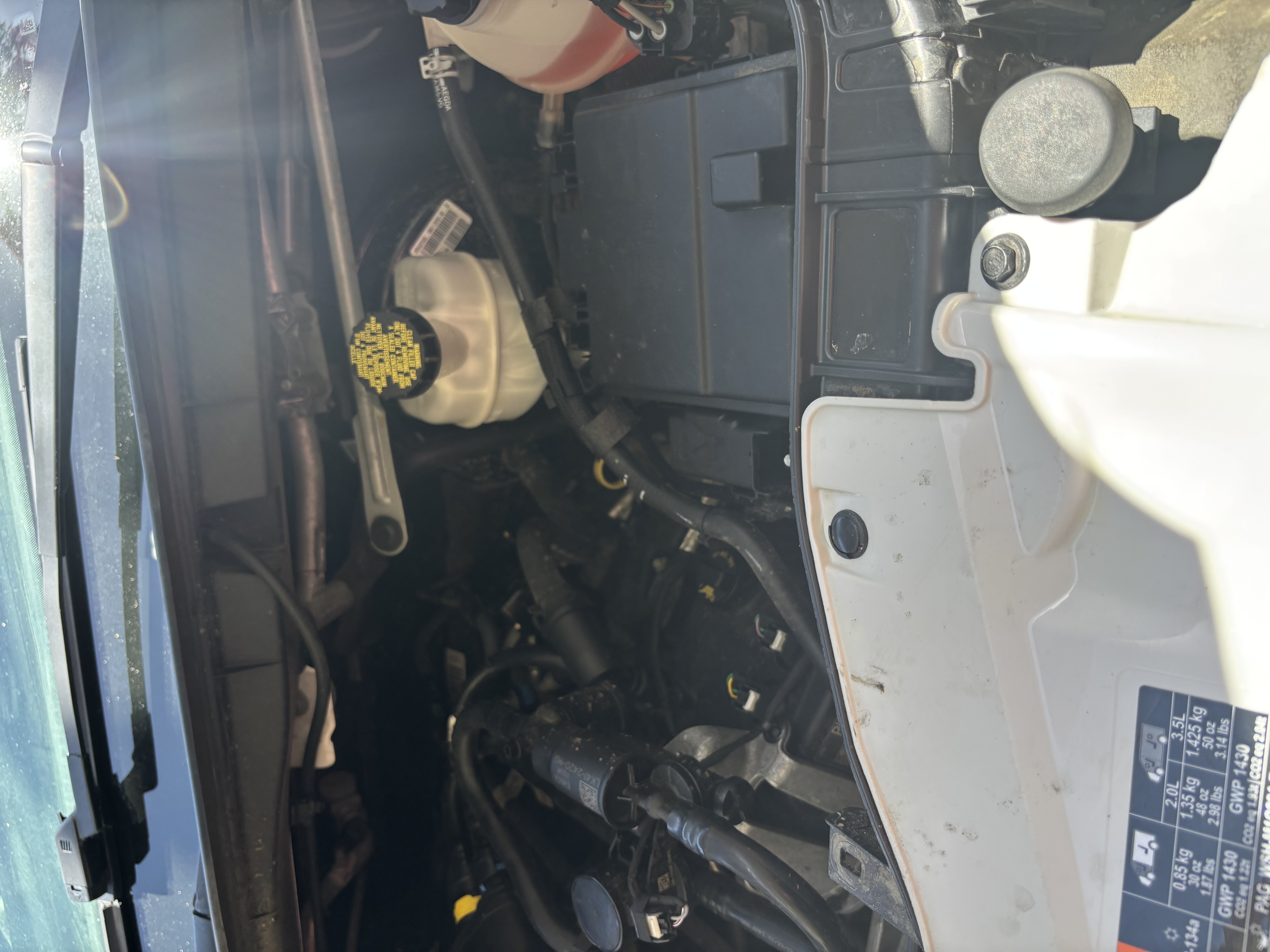 Used 2023 Ford Transit 250 Low Roof w/ Exterior Upgrade Package RWD image 21