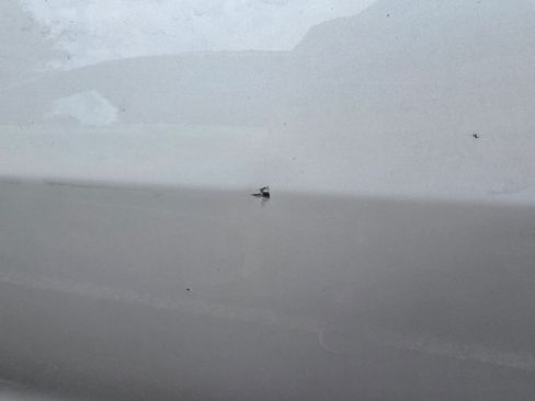 Used 2021 Tesla Model 3 Standard Range Plus image 14