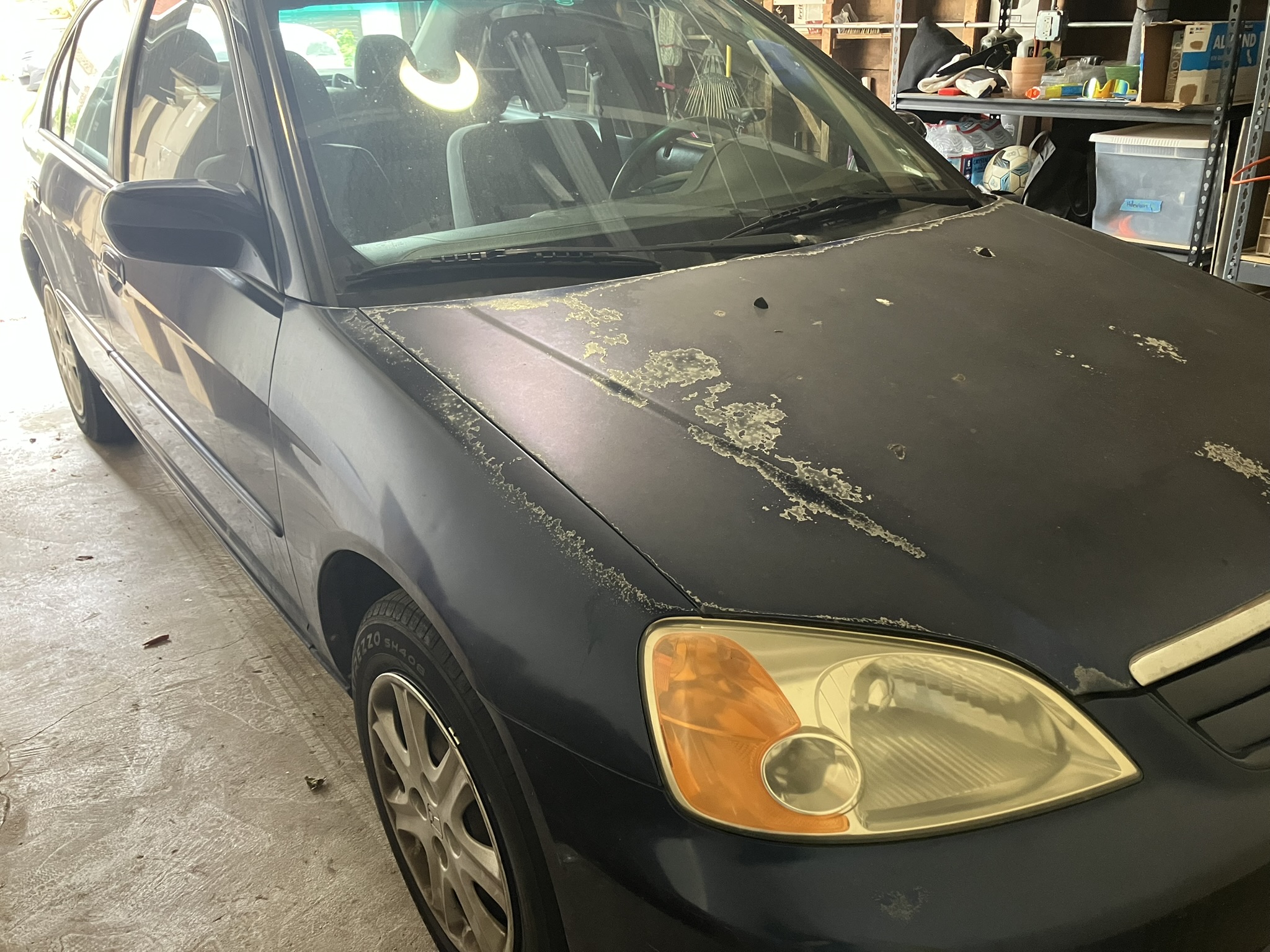 Used 2003 Honda Civic EX image 11
