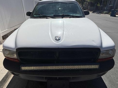 Used 2001 Dodge Dakota 2WD Regular Cab image 16