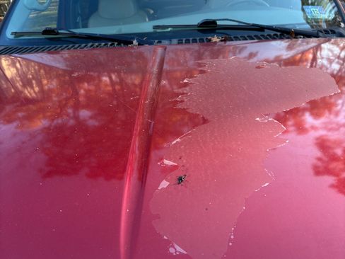 Used 2000 Ford Excursion Limited image 2