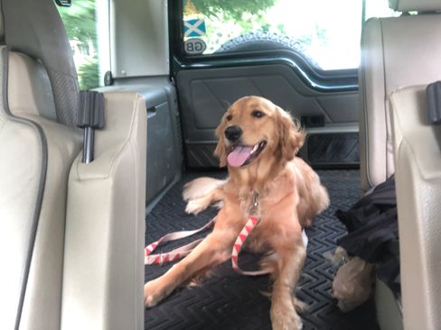 Used 2004 Land Rover Discovery SE image 16