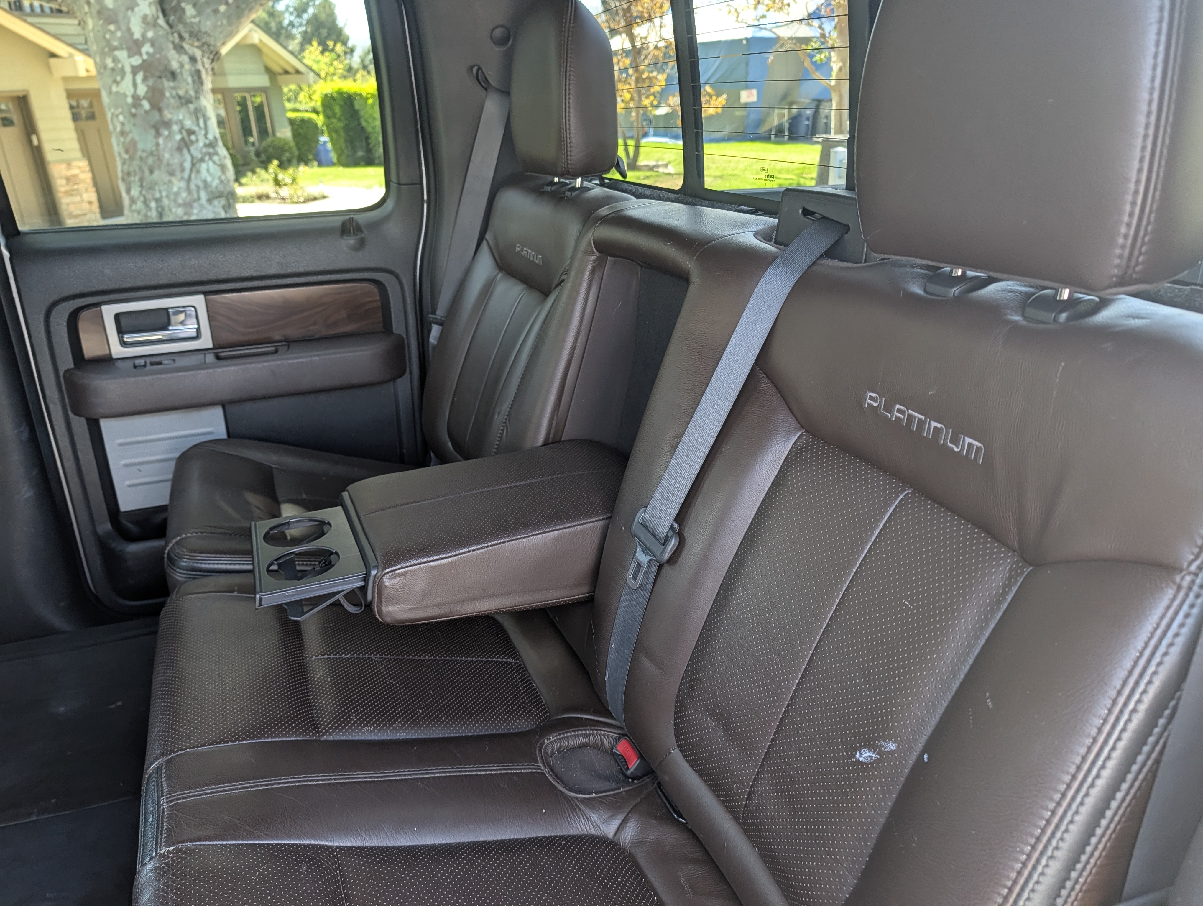 Used 2010 Ford F150 Platinum RWD image 12