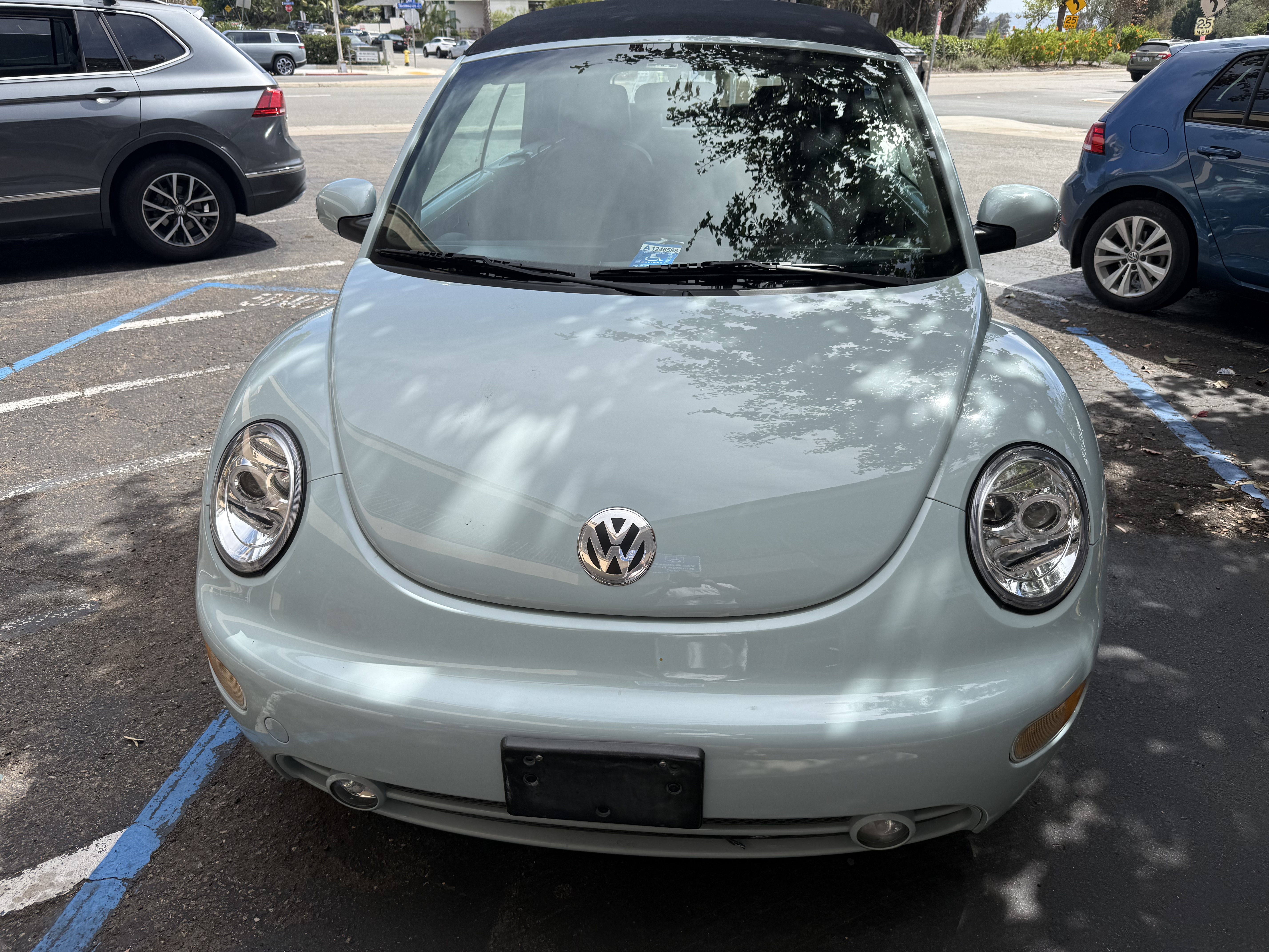Used 2004 Volkswagen Beetle GLS FWD image 2