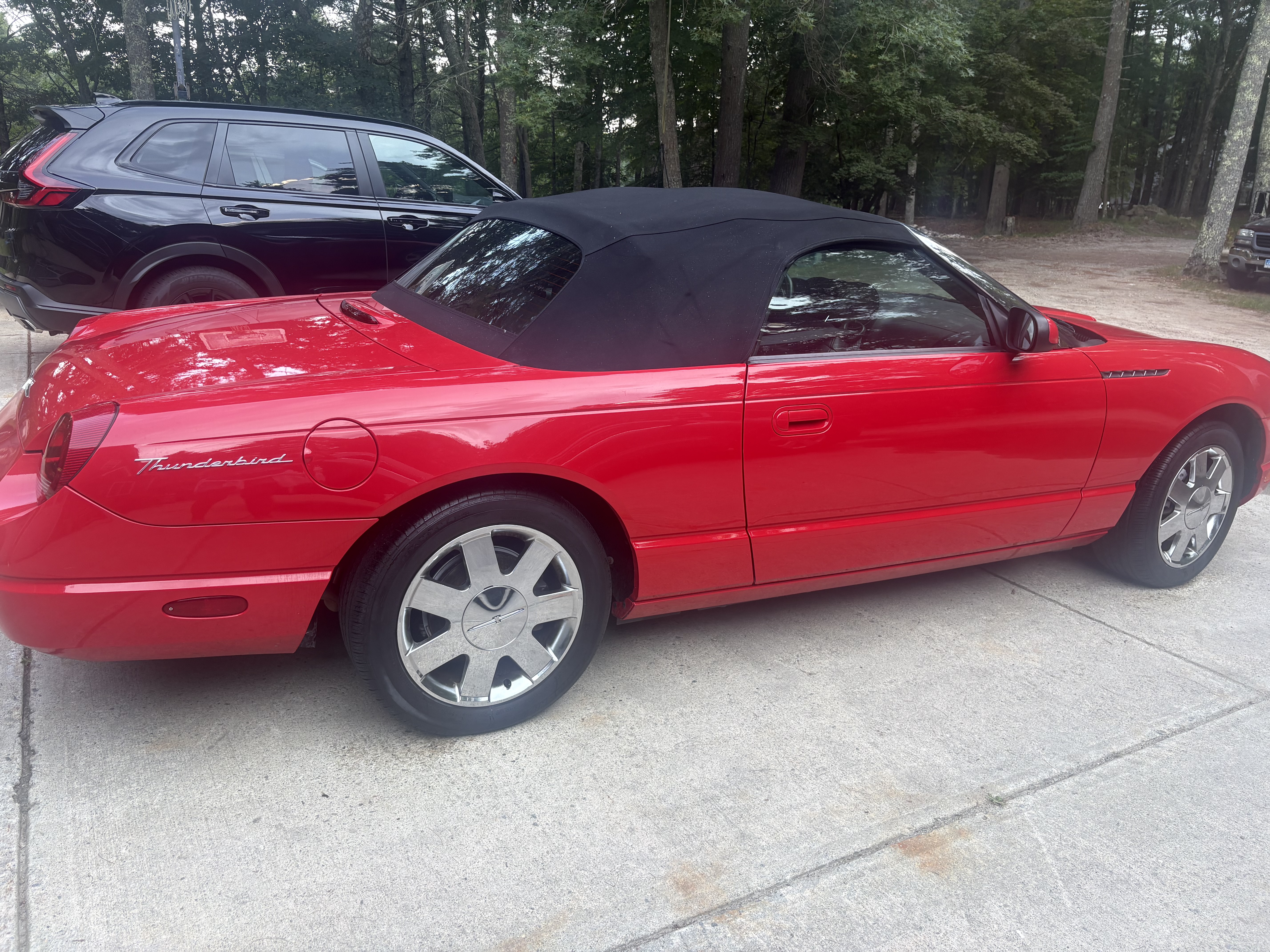 Used 2002 Ford Thunderbird RWD image 9