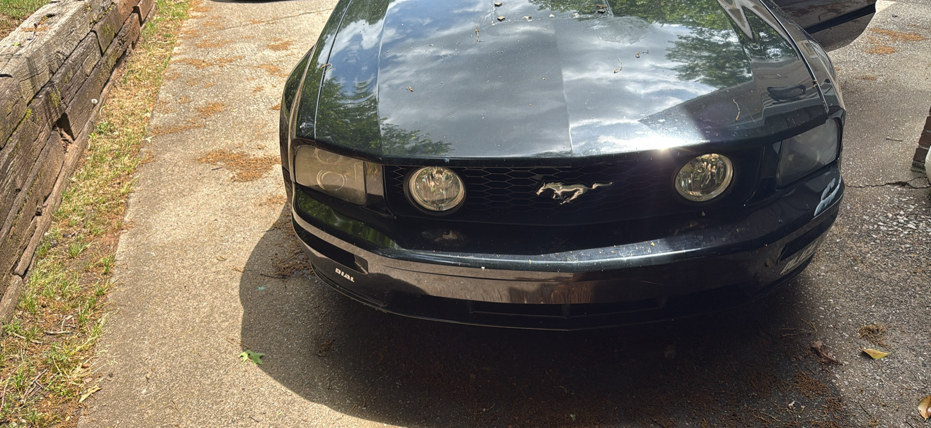 Used 2007 Ford Mustang GT RWD image 6