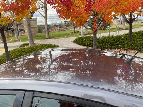 Used 2008 Toyota Prius Touring image 9