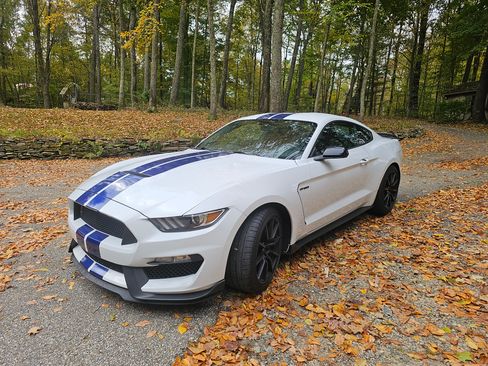 Used 2016 Ford Mustang Shelby GT350 w/ Track Package image 2