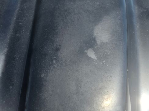 Used 2002 Pontiac Firebird Trans Am image 2