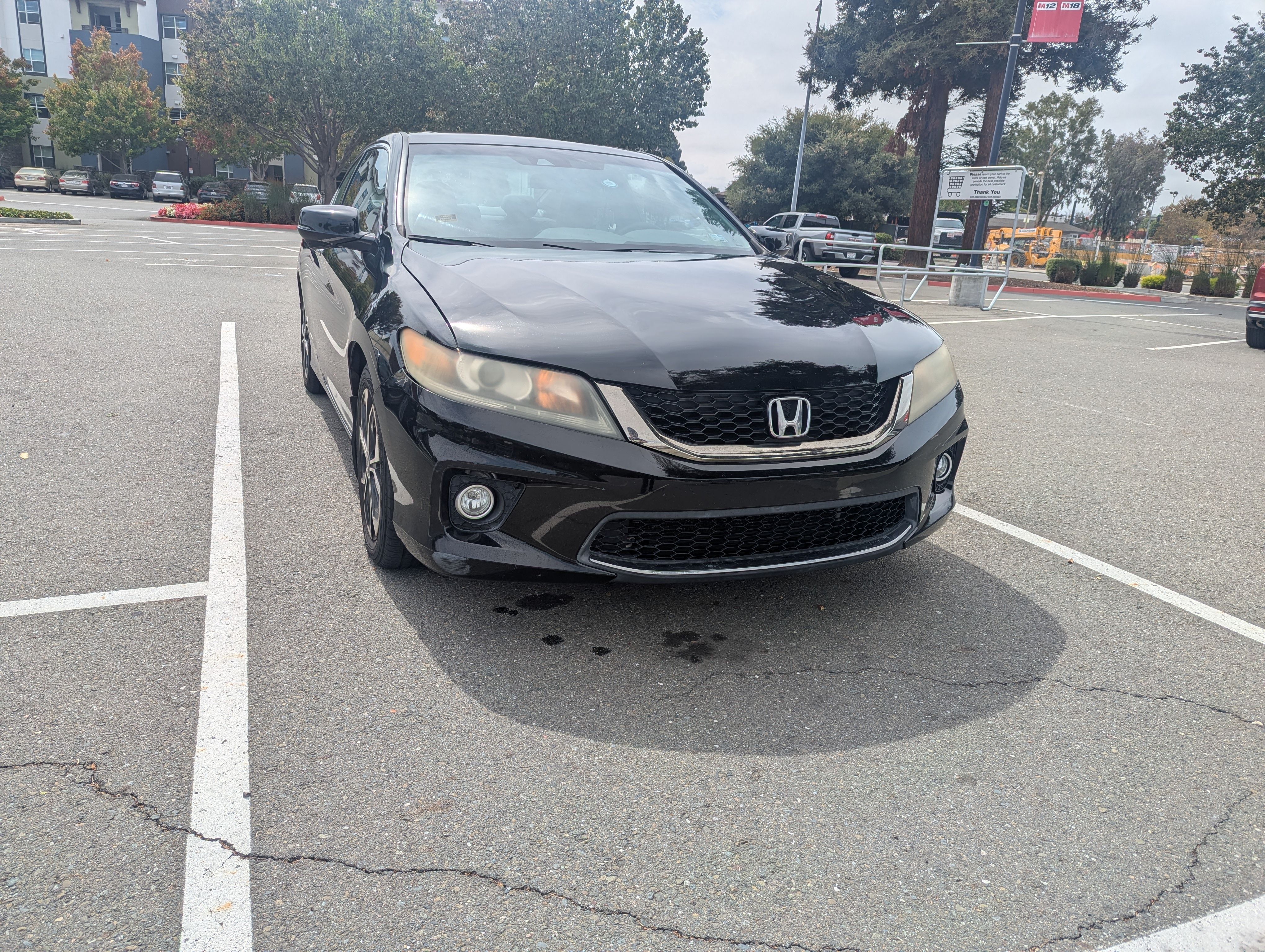 Used 2013 Honda Accord EX-L image 5