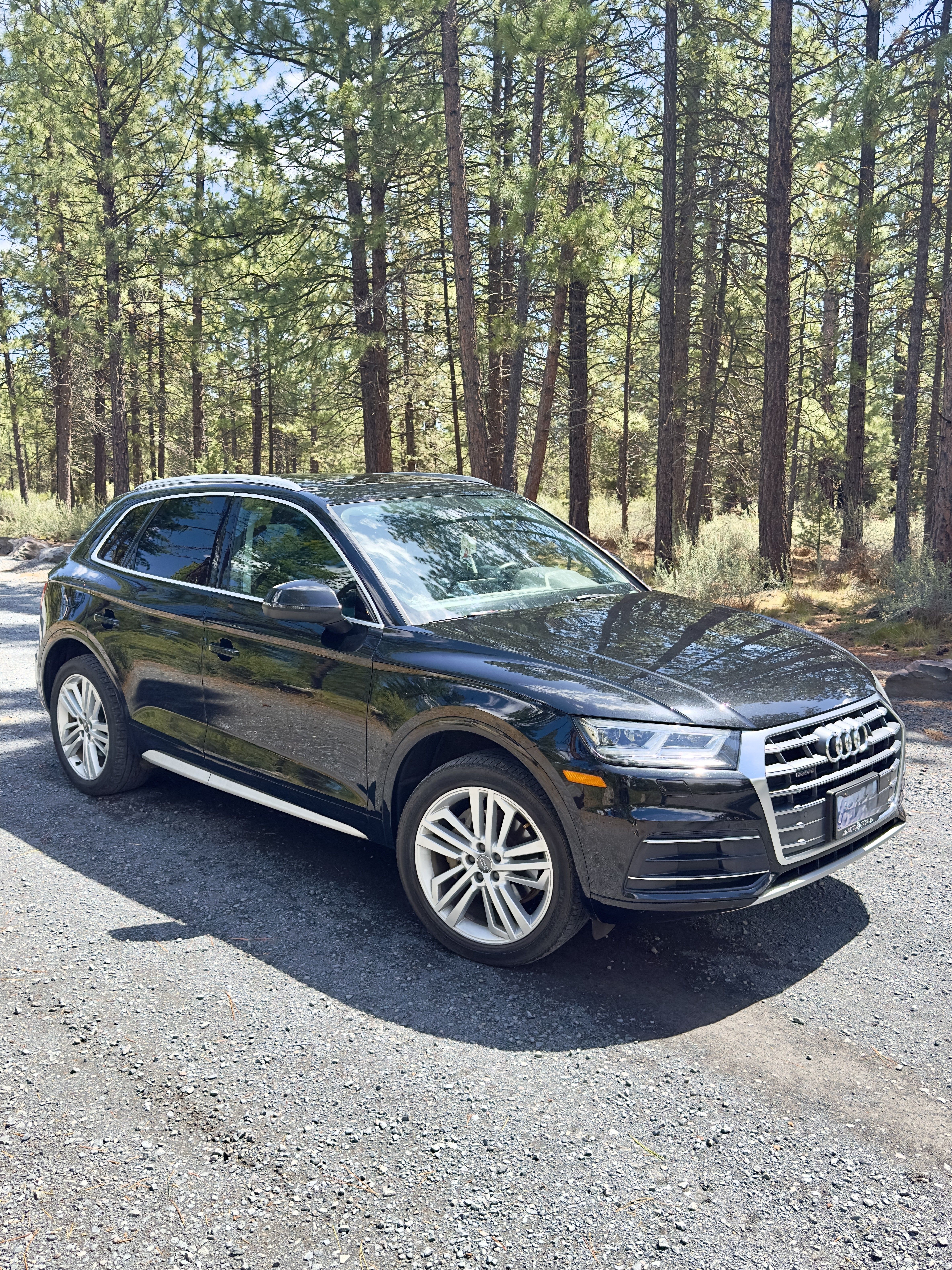 Used 2019 Audi Q5 2.0T Premium Plus w/ Premium Plus Package AWD/4WD image 16