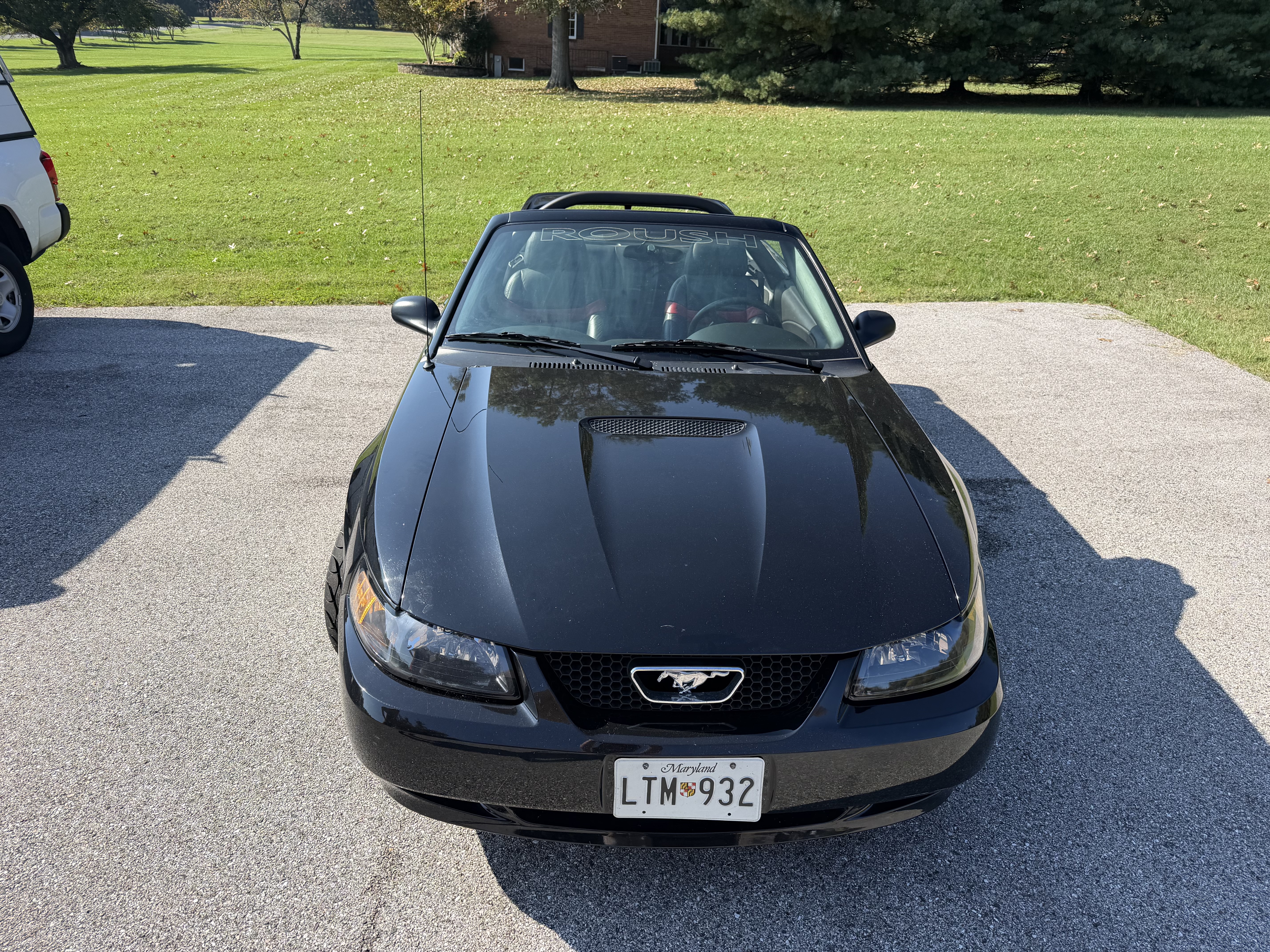 Used 2001 Ford Mustang Premium RWD image 11