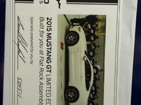 Used 2015 Ford Mustang 50 Years RWD image 13