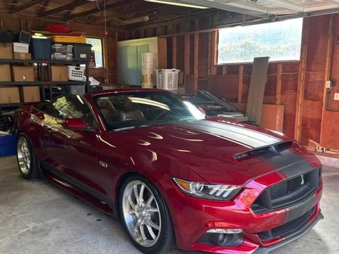 Used 2016 Ford Mustang GT Premium w/ Equipment Group 401A RWD image 4