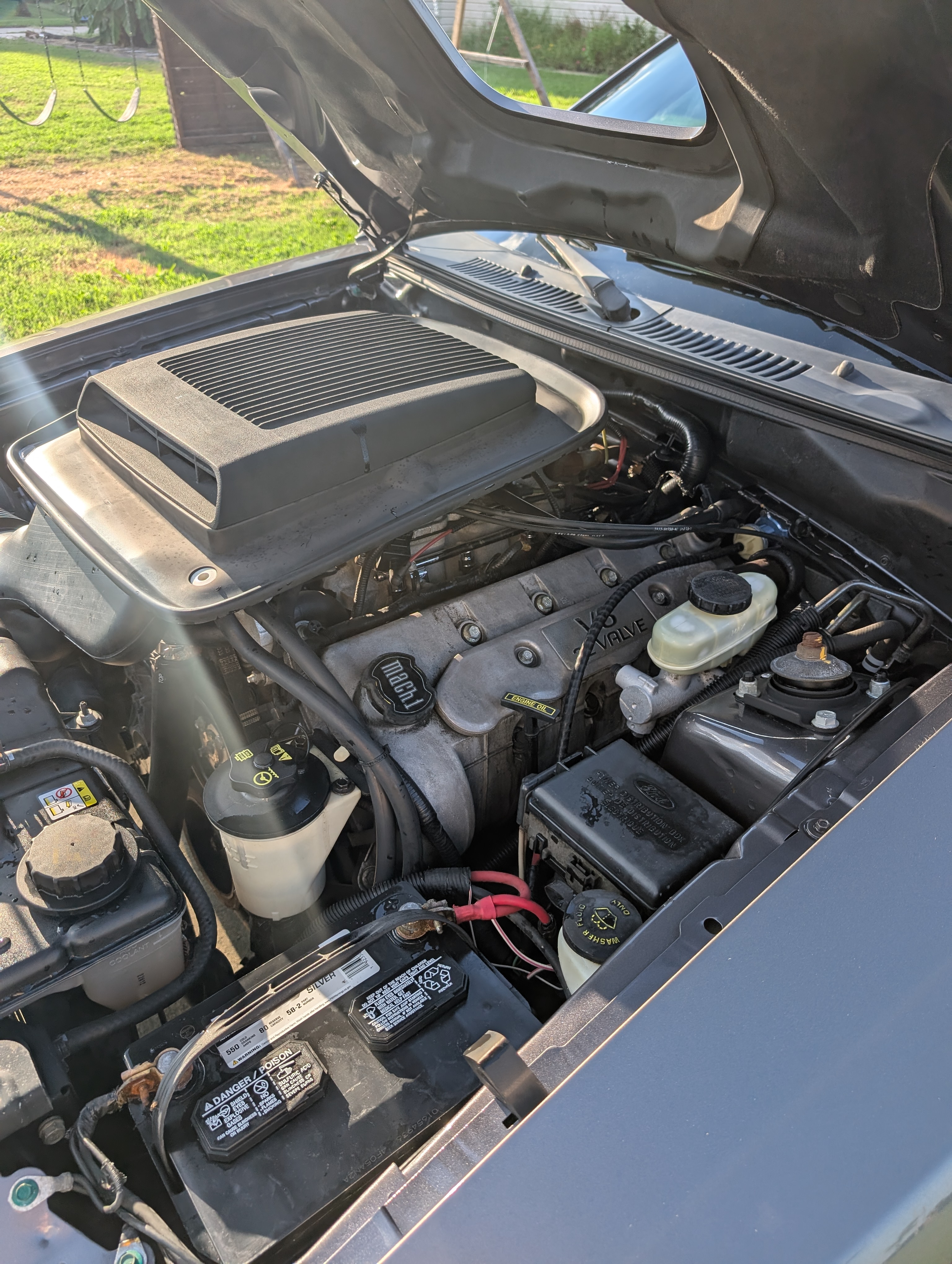 Used 2004 Ford Mustang Mach 1 RWD image 4