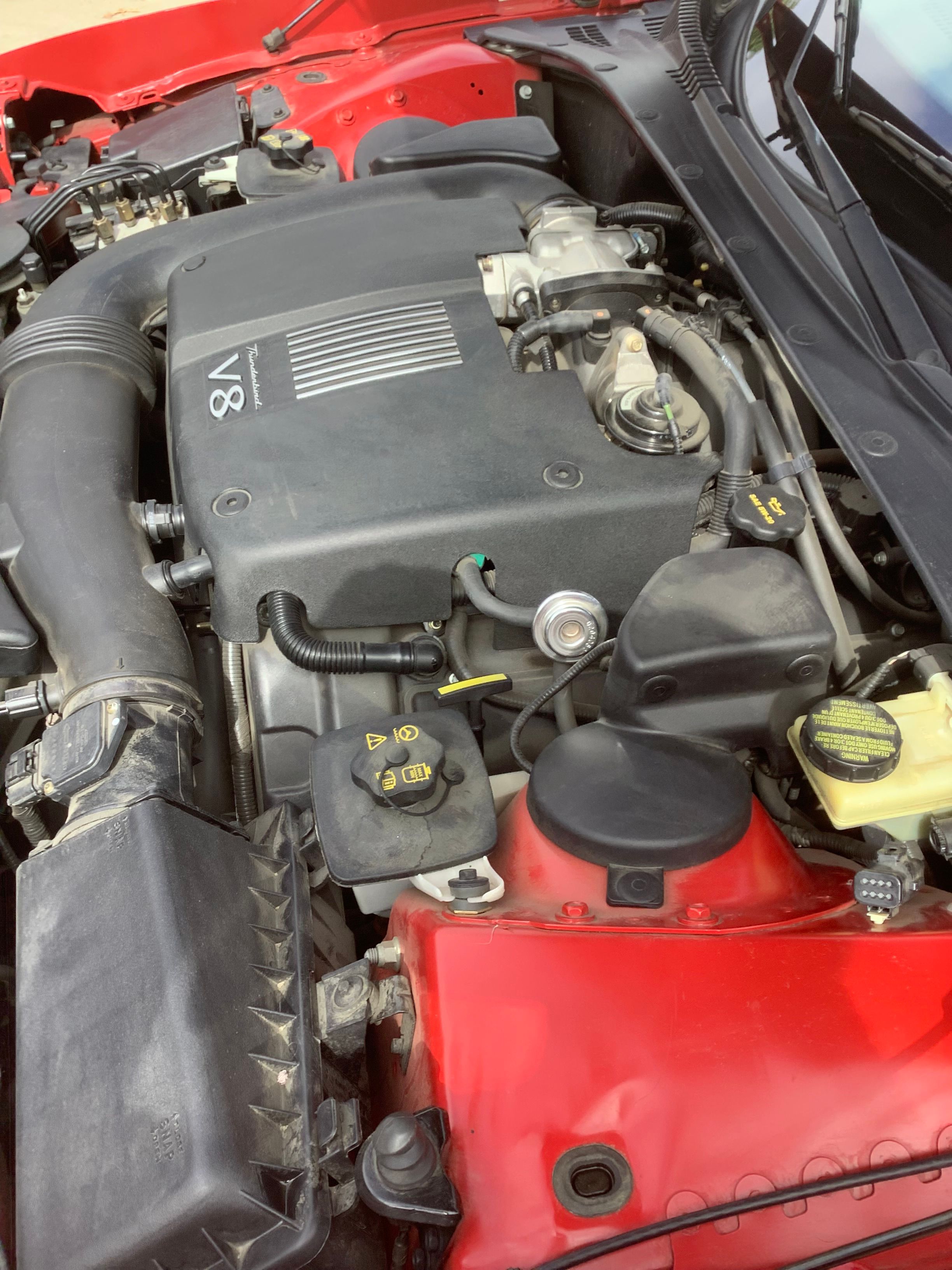 Used 2002 Ford Thunderbird RWD image 14