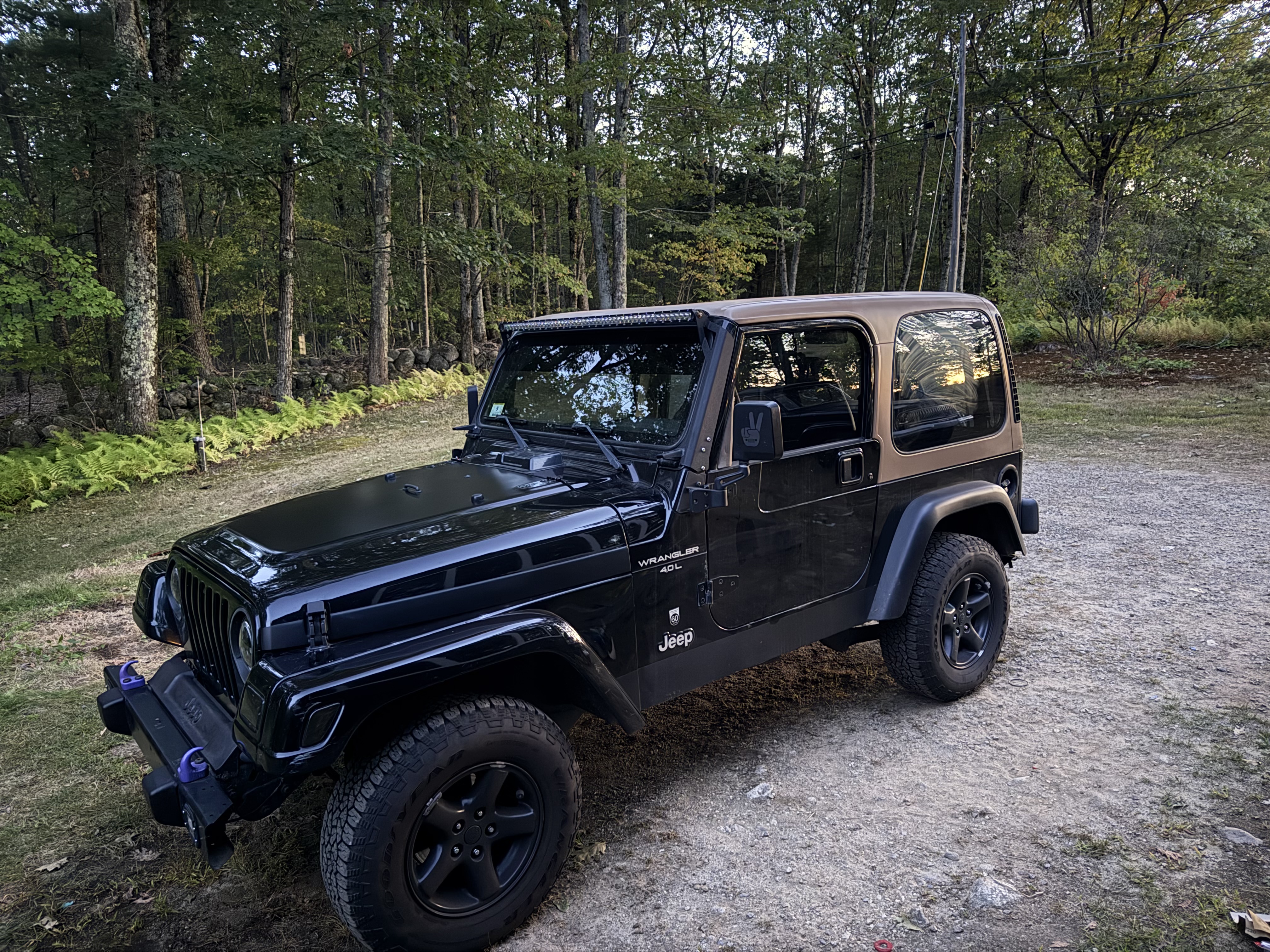 Used 2001 Jeep Wrangler Sport AWD/4WD image 2