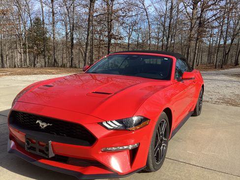 Used 2023 Ford Mustang Premium w/ Equipment Group 201A image 6