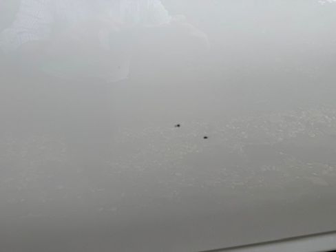 Used 2021 Toyota 4Runner SR5 image 9