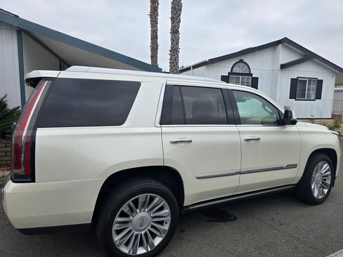 Used 2015 Cadillac Escalade Platinum image 5