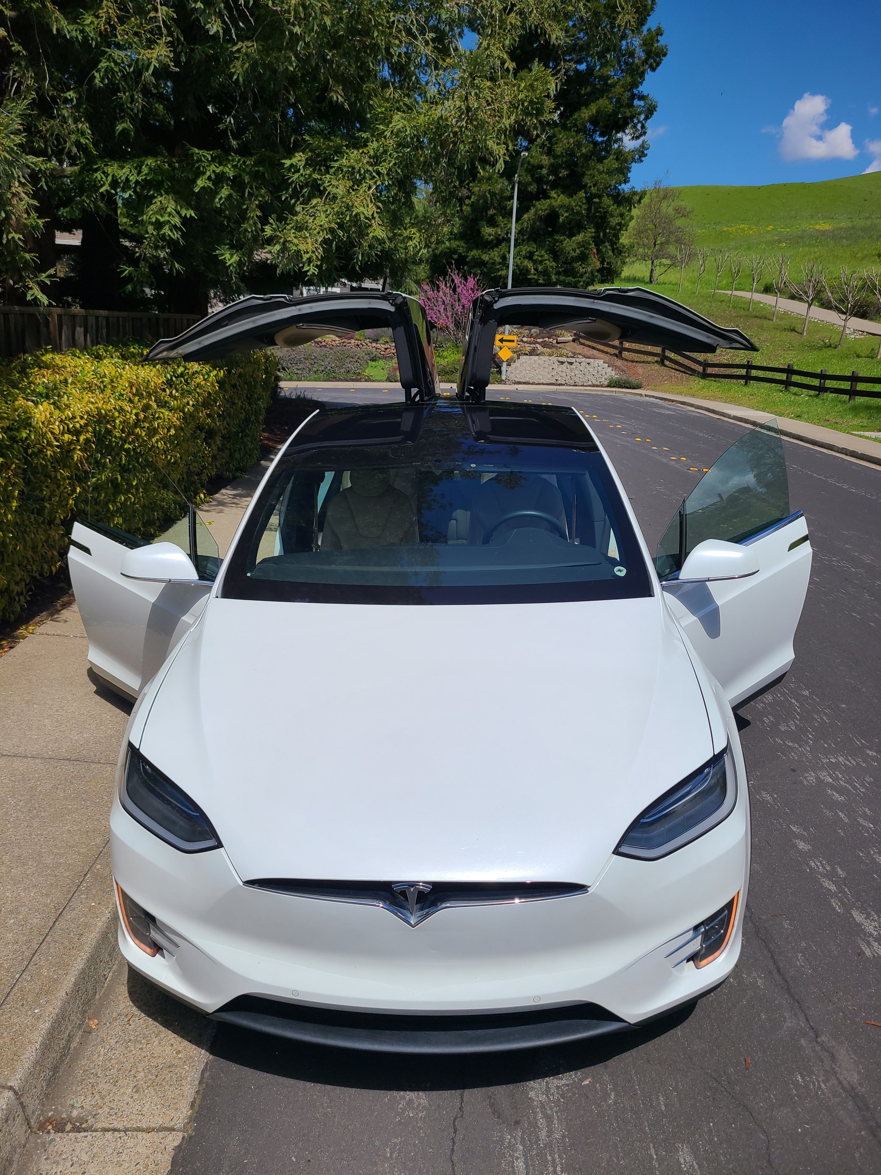 Used 2016 Tesla Model X 75D AWD/4WD image 18